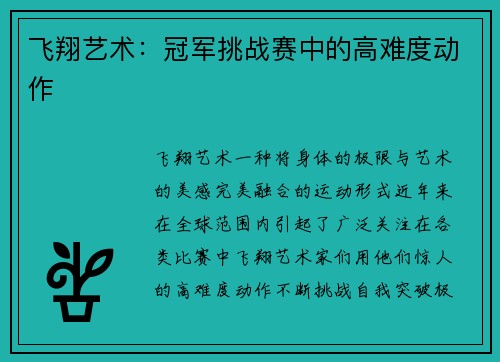 飞翔艺术：冠军挑战赛中的高难度动作